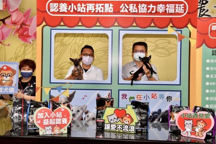 想認養狗狗看這裡！5個米克斯幼犬領養平台