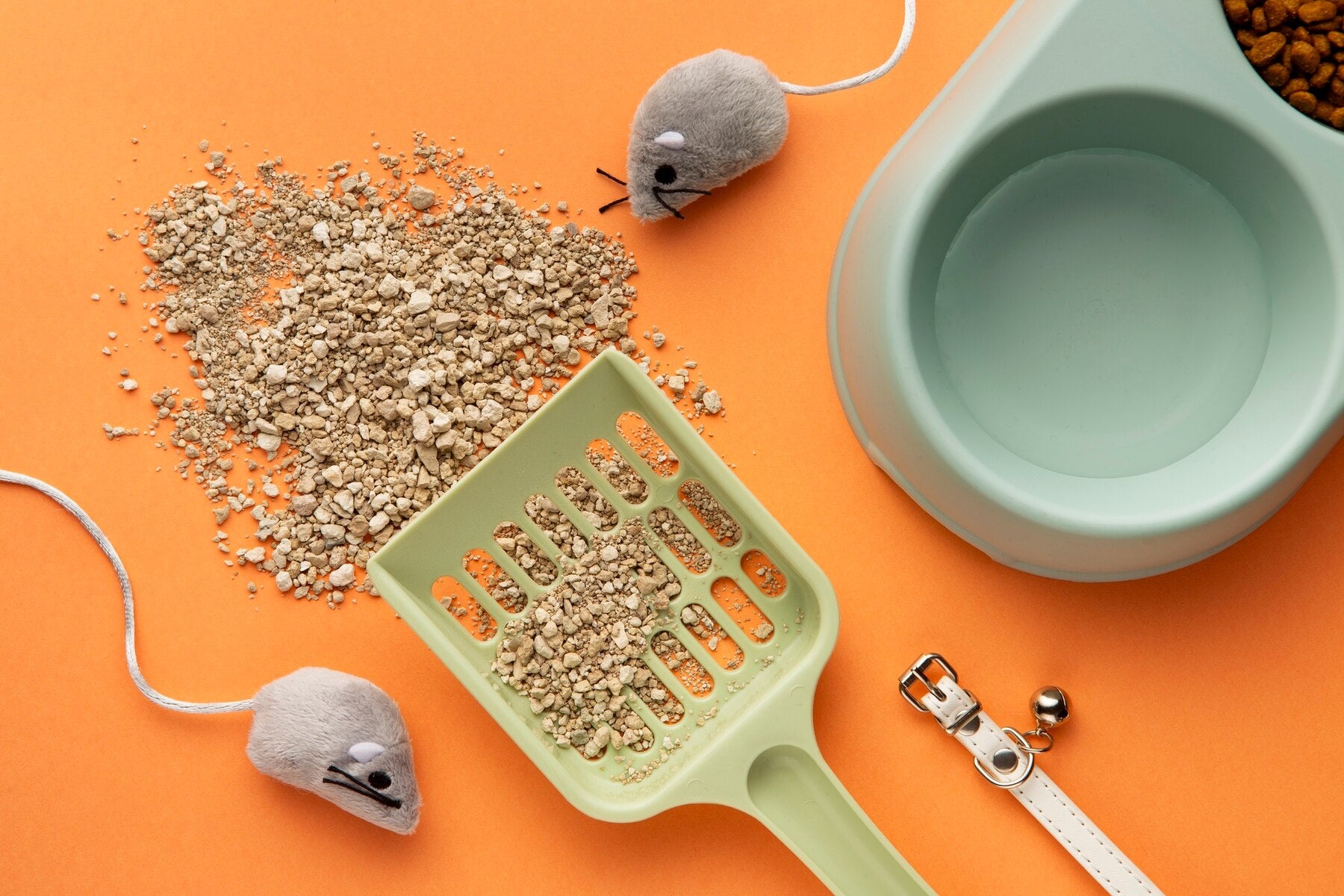 貓砂知多少？一分鐘認識所有貓砂種類