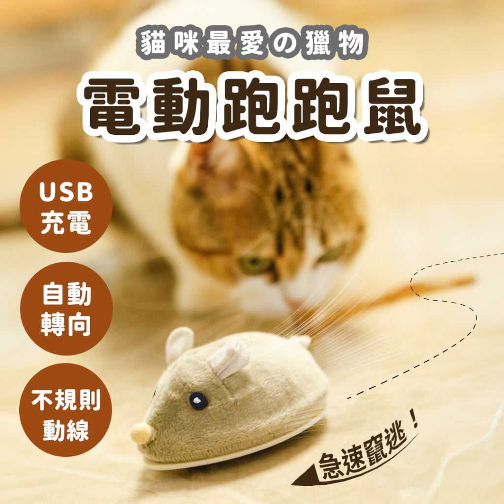 貓咪玩具 | 自嗨神器 電動跑跑鼠