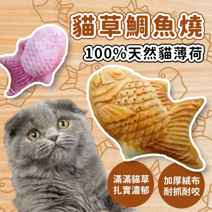 貓咪玩具 | 擬真鯛魚燒貓草包