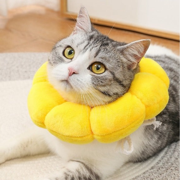 貓狗通用 | 防咬防舔頭套