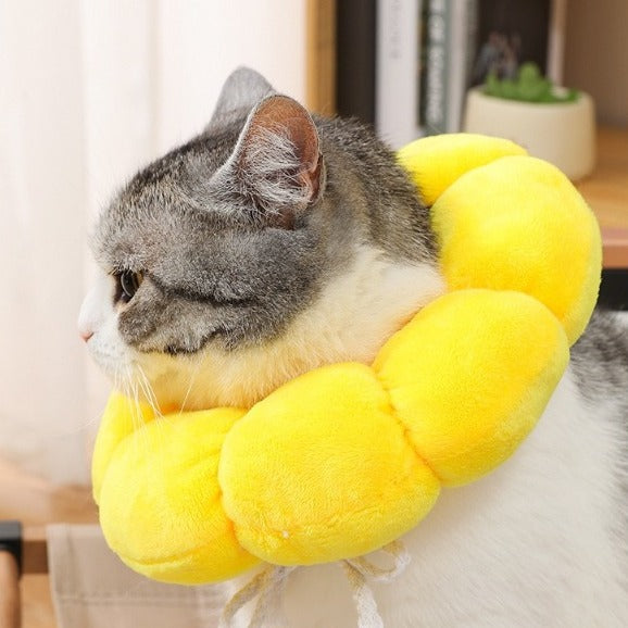 貓狗通用 | 防咬防舔頭套