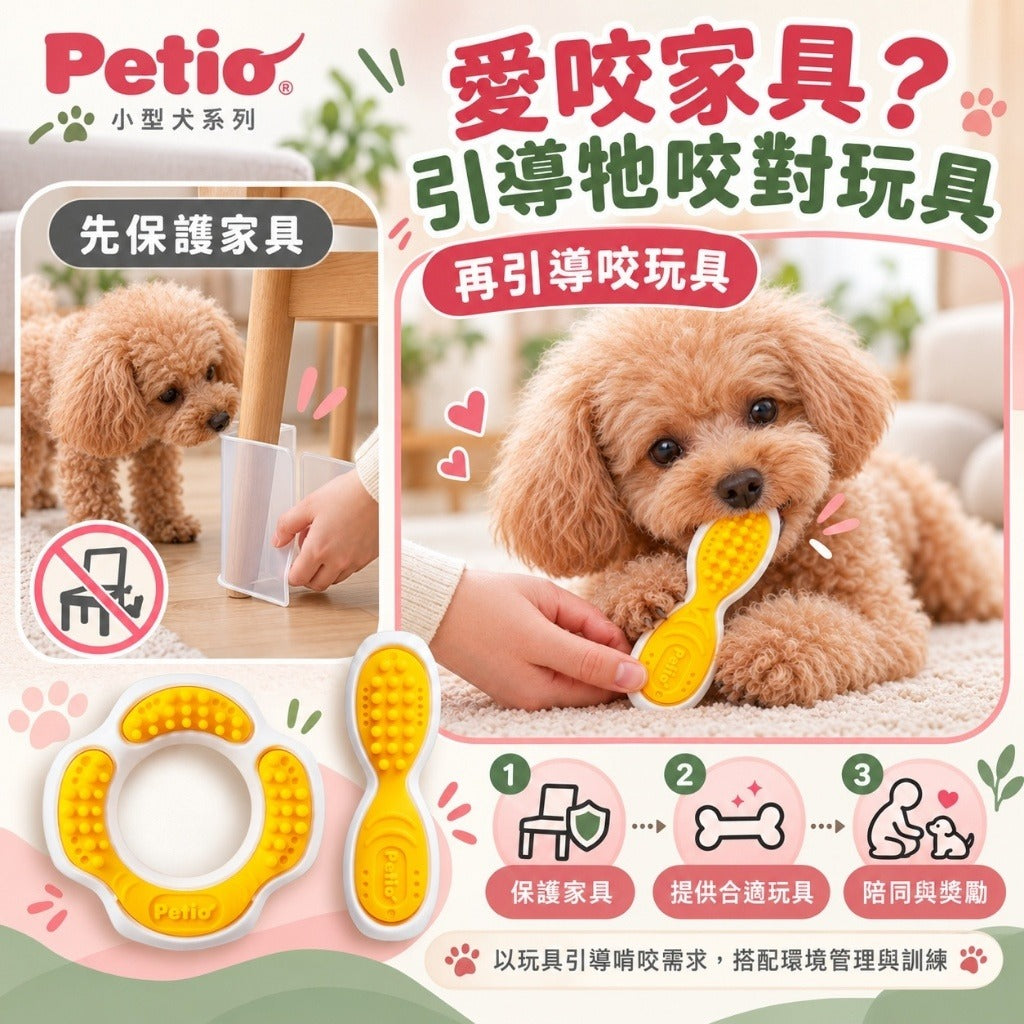 日本Petio派地奧 | 狗狗潔牙玩具