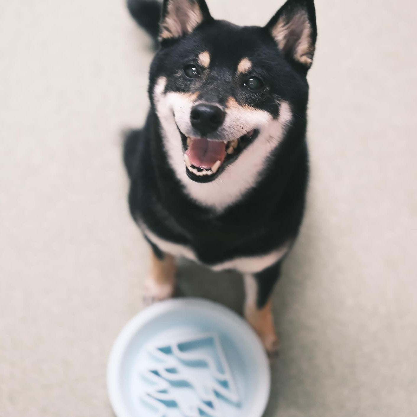 OMOM 慢舔食兩用碗-雪夜聖誕樹