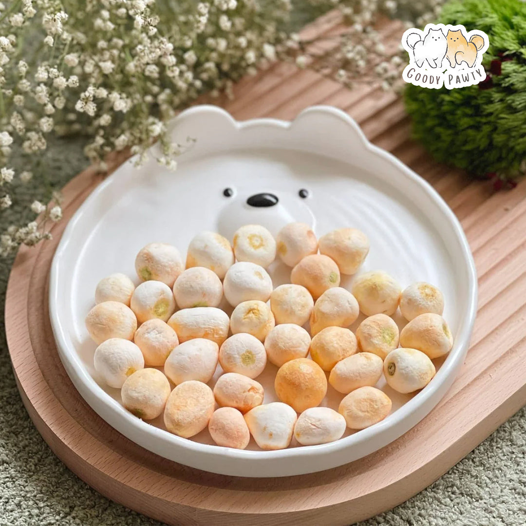 GOODY PAWTY | 冷凍乾燥-胡蘿蔔球