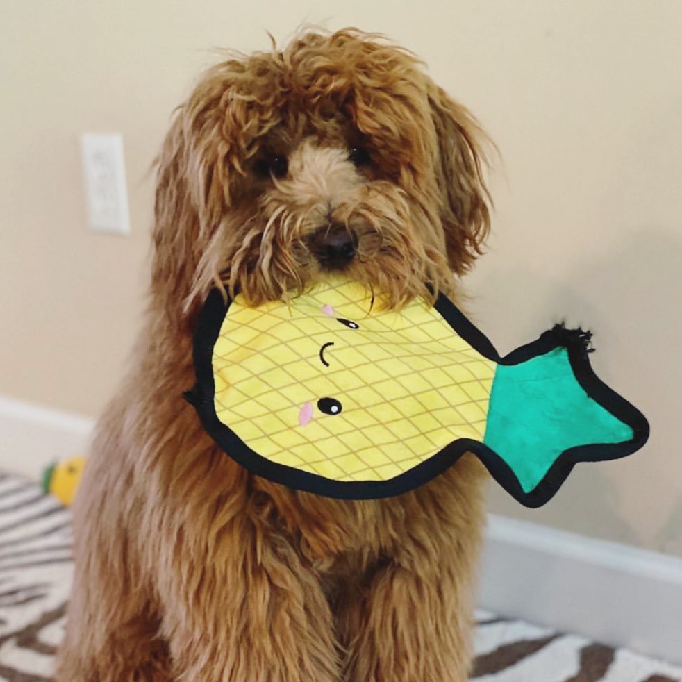 PetShop by Fringe Studio 狗狗發聲玩具-絨毛食物玩偶