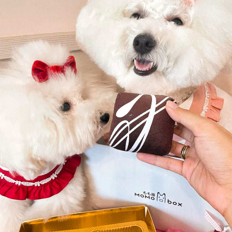 Fabdog 狗狗發聲玩具-DOGIVA巧克力