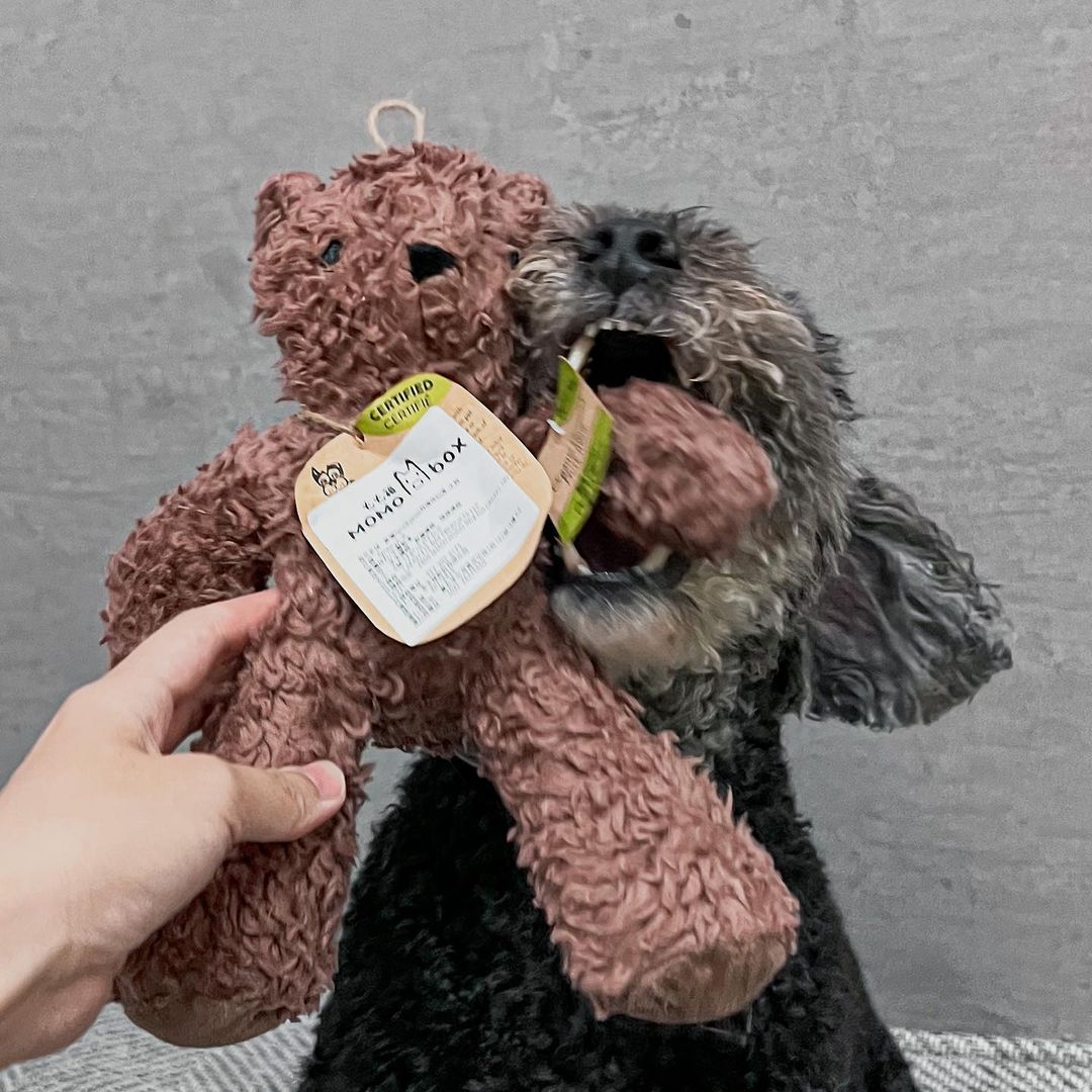 Spunky Pup 狗狗響紙玩具-有機棉系列