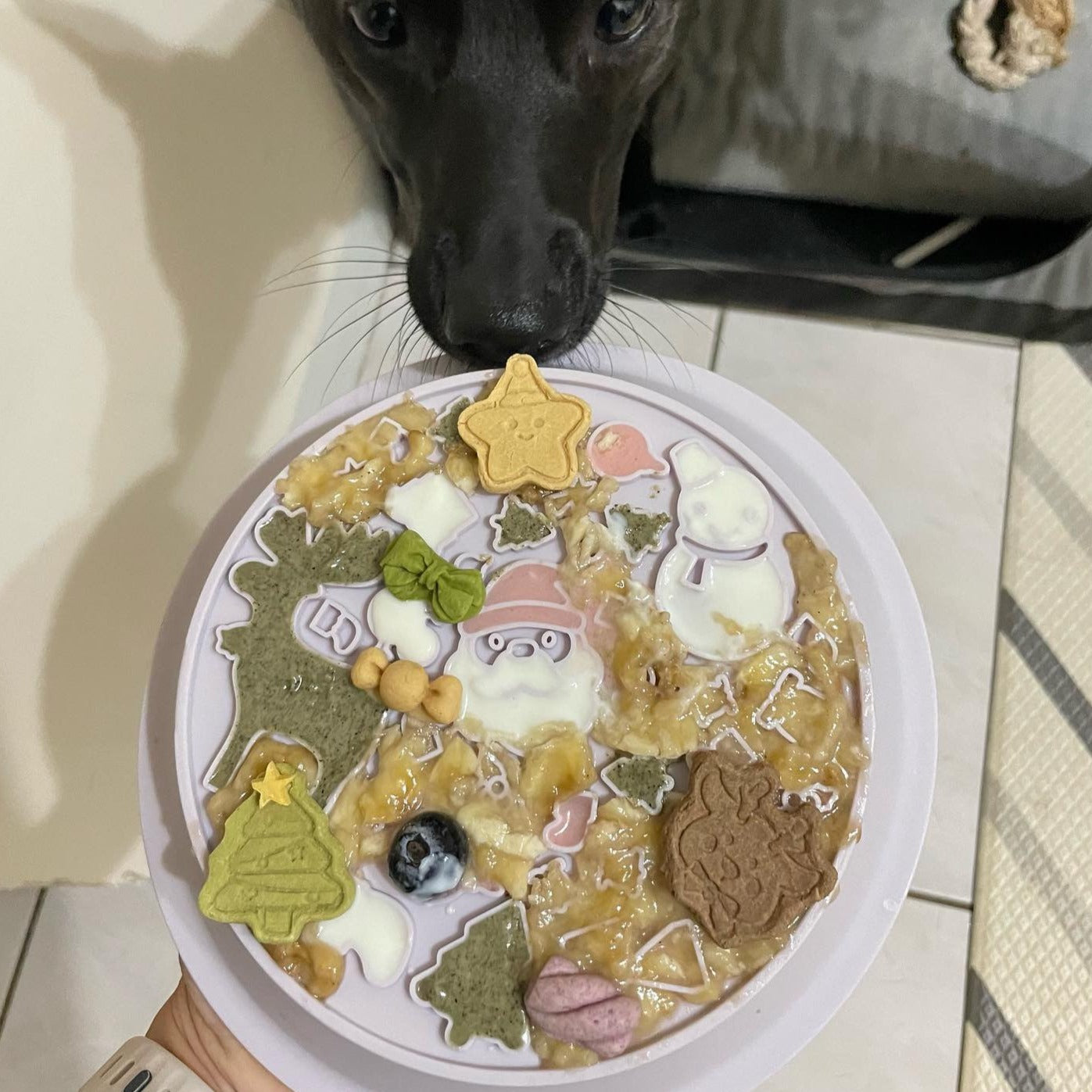 OMOM 慢舔食兩用碗-烘培薑餅人