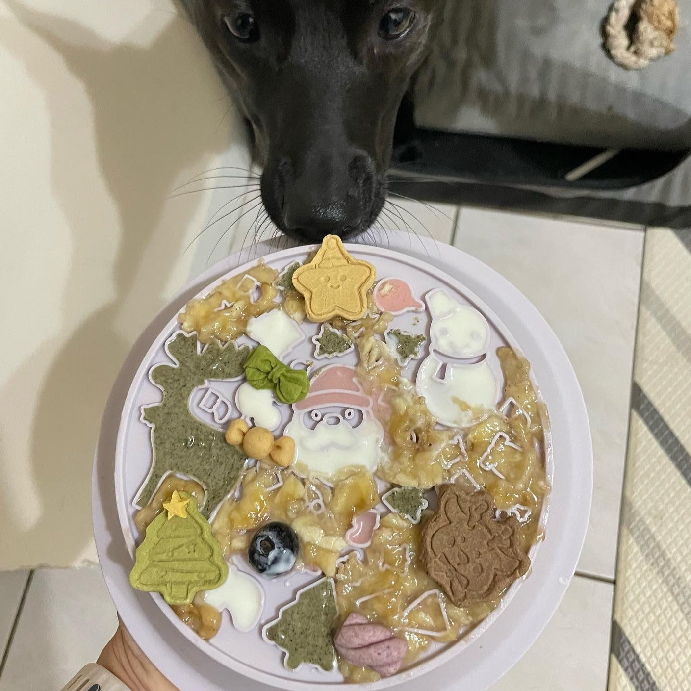 OMOM 慢舔食兩用碗-雪夜聖誕樹