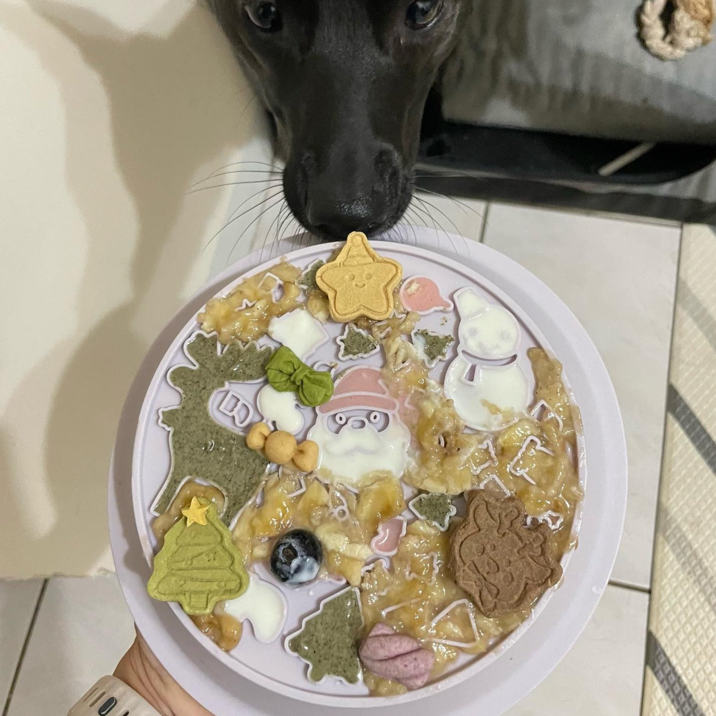 OMOM 慢舔食兩用碗-聖誕老公公