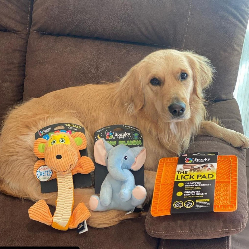 Spunky Pup 狗狗發聲玩具-夜光系列