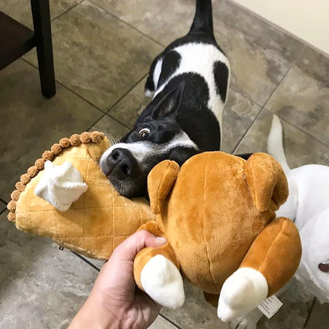 Fabdog 狗狗發聲玩具-擬真烤雞盒