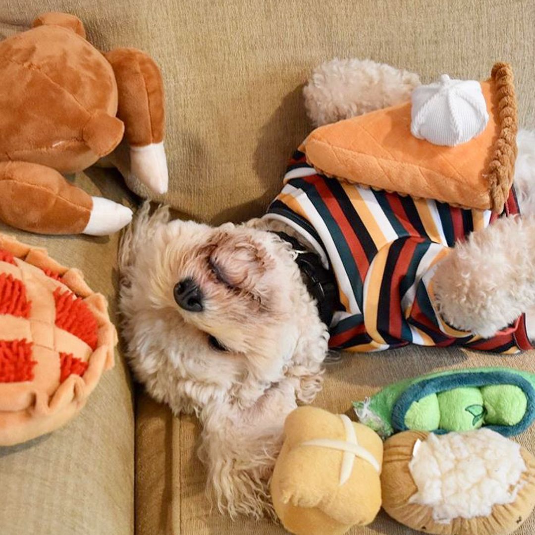 Fabdog 狗狗發聲玩具-擬真烤雞盒