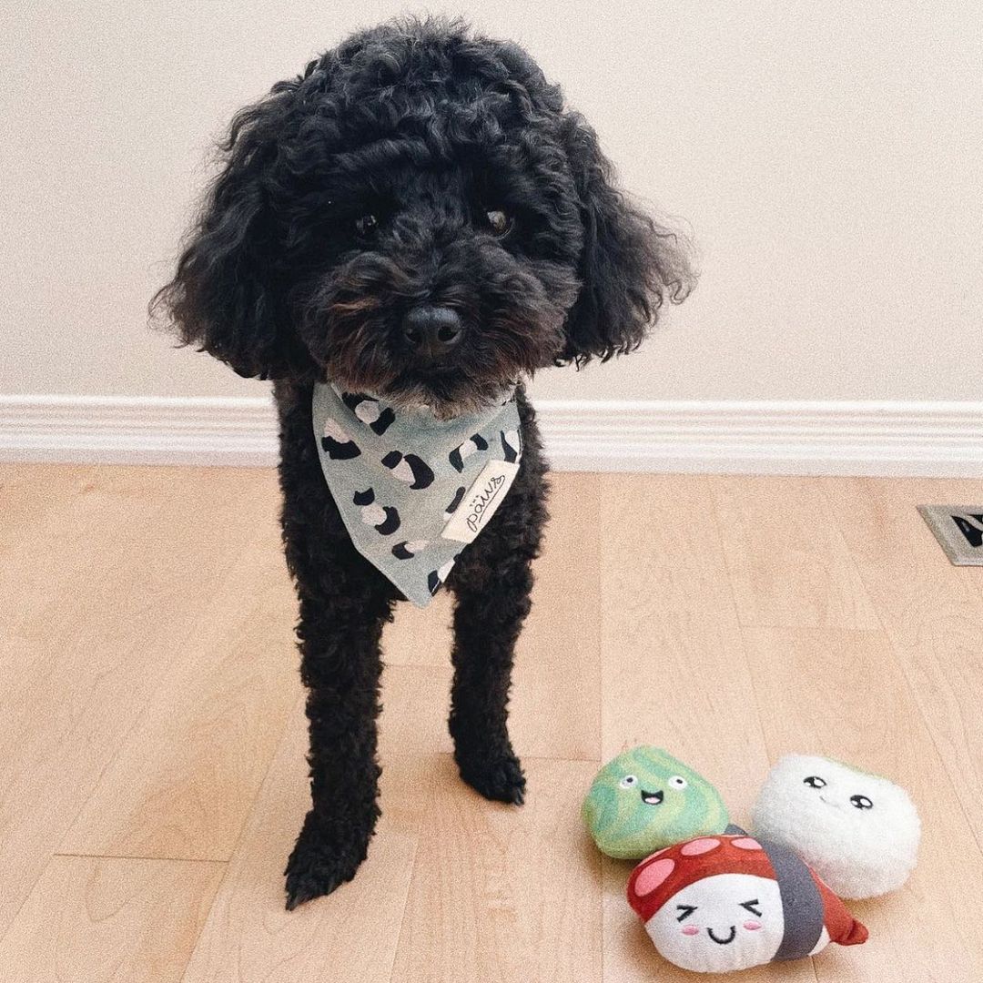 PetShop by Fringe Studio 狗狗發聲玩具-日式壽司