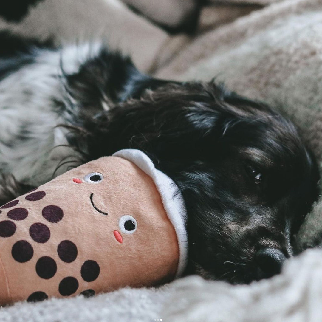 PetShop by Fringe Studio 狗狗酒瓶發聲玩具