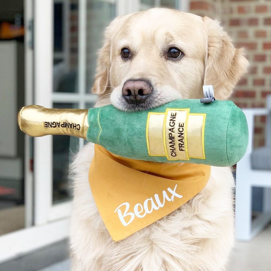 PetShop by Fringe Studio 狗狗酒瓶發聲玩具