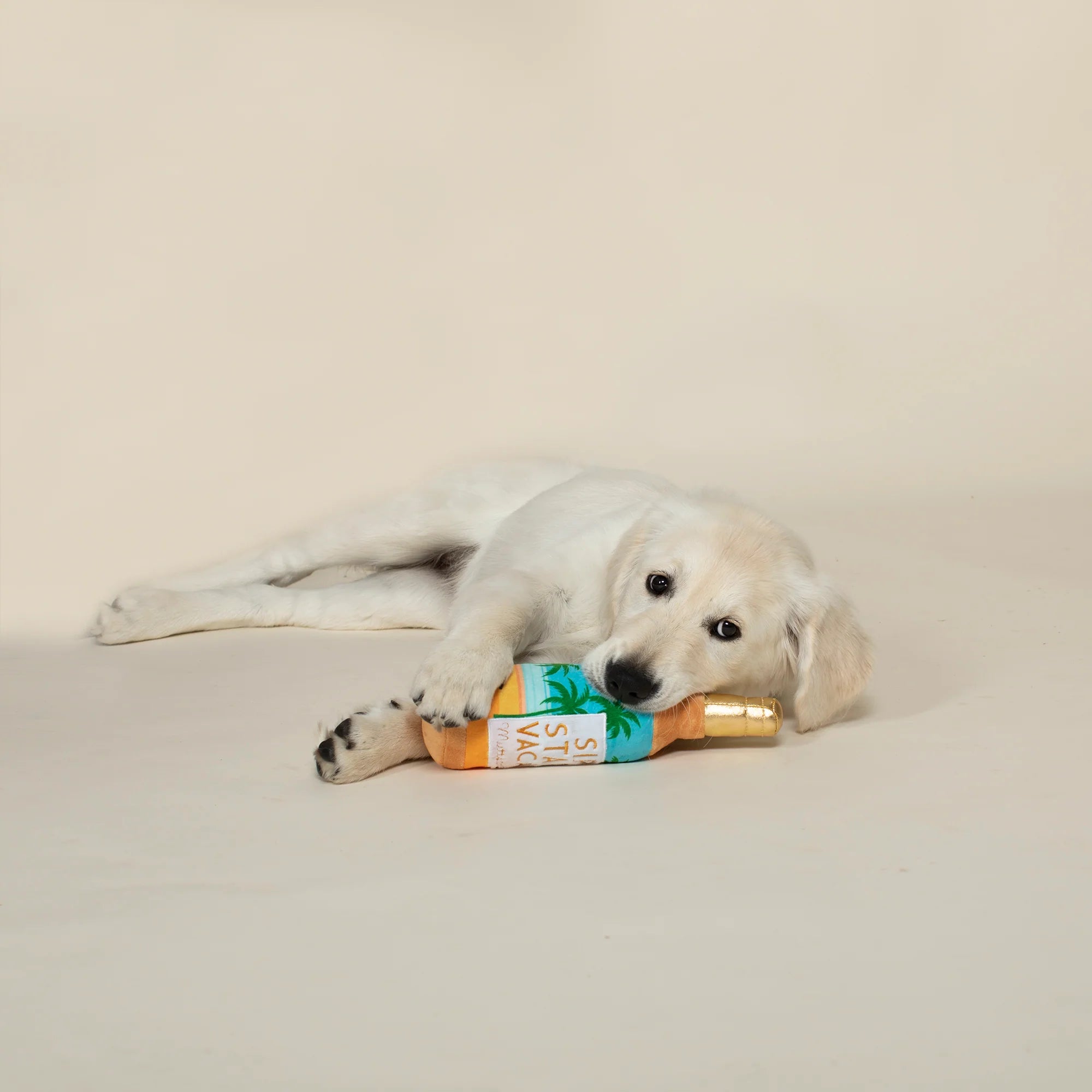 PetShop by Fringe Studio 狗狗酒瓶發聲玩具