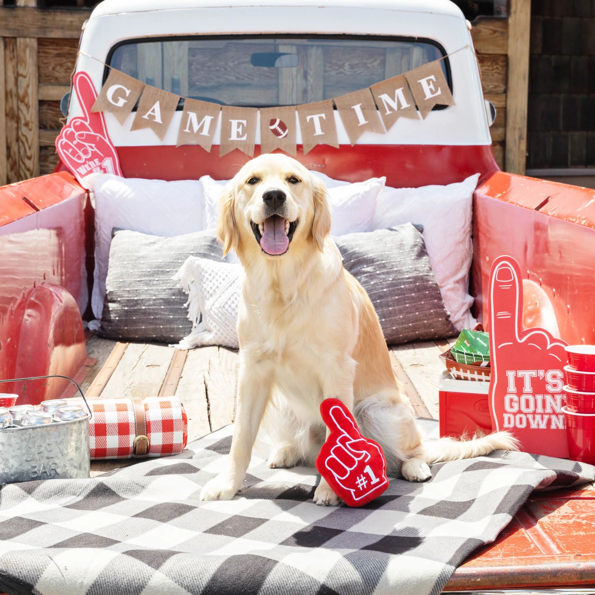 PetShop by Fringe Studio 狗狗發聲玩具-球場應援系列