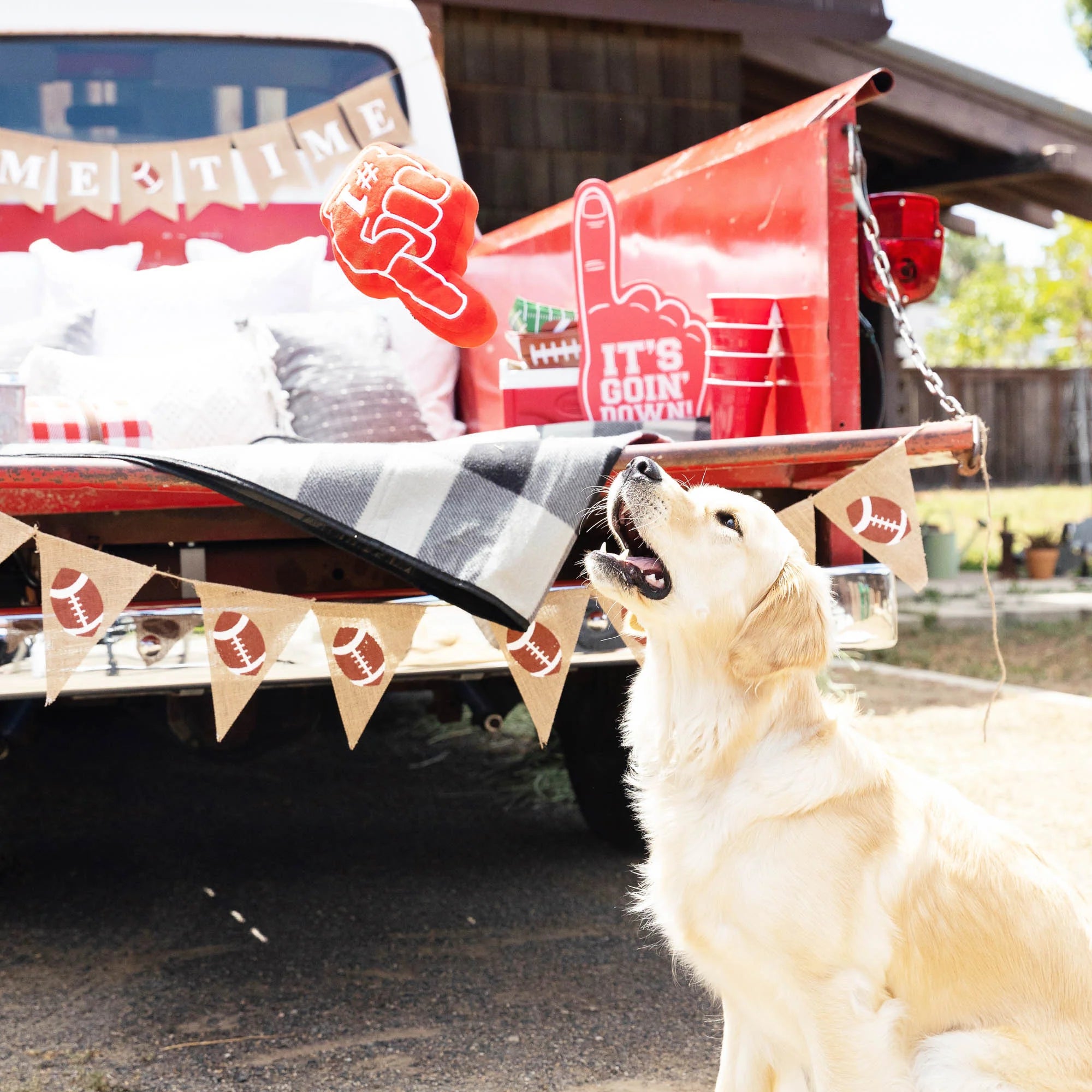 PetShop by Fringe Studio 狗狗發聲玩具-球場應援系列