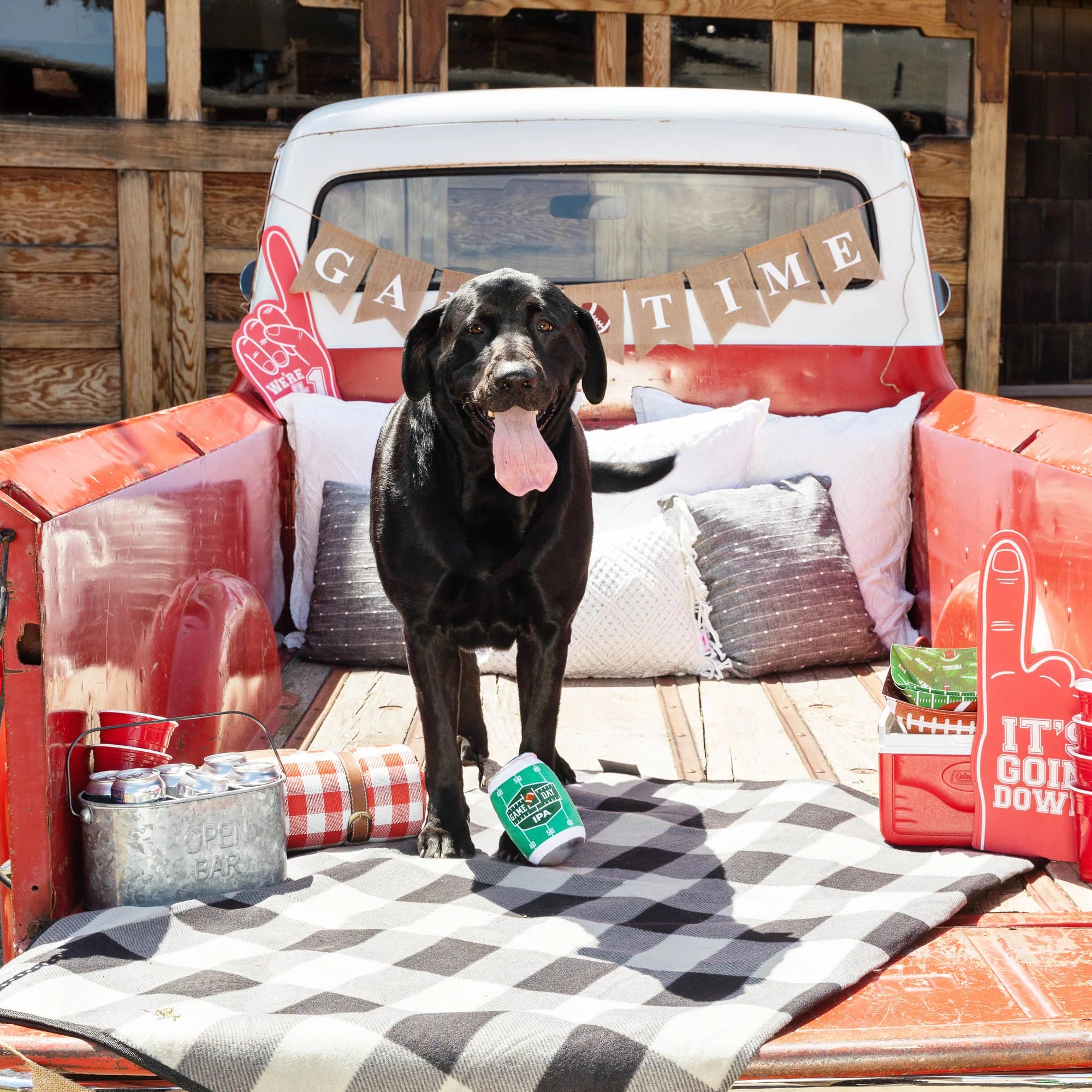 PetShop by Fringe Studio 狗狗發聲玩具-球場應援系列