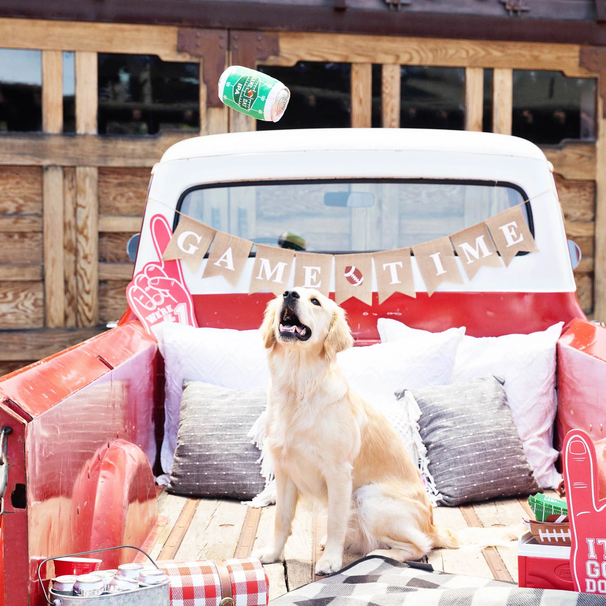 PetShop by Fringe Studio 狗狗發聲玩具-球場應援系列