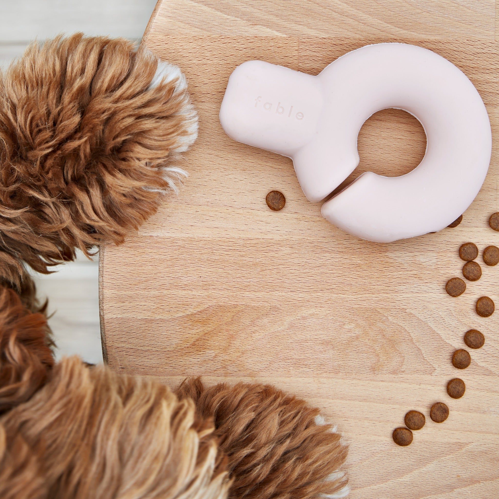 Fable 狗狗益智漏食玩具-單勾型(Falcon Toy)