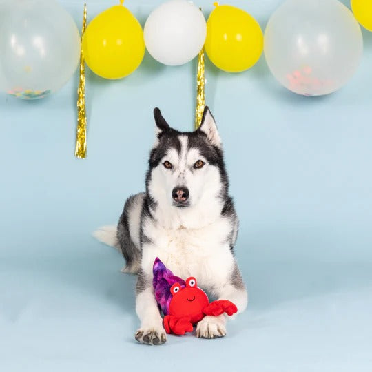 PetShop by Fringe Studio 狗狗發聲玩具-超人氣動物系列