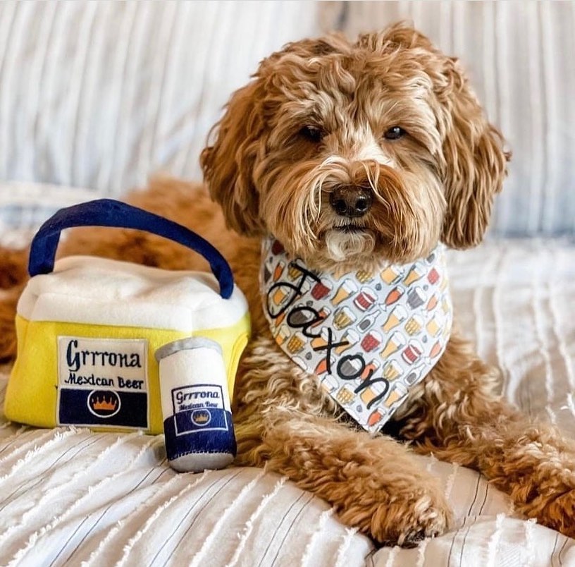 Haute Diggity Dog 狗狗藏食玩具箱