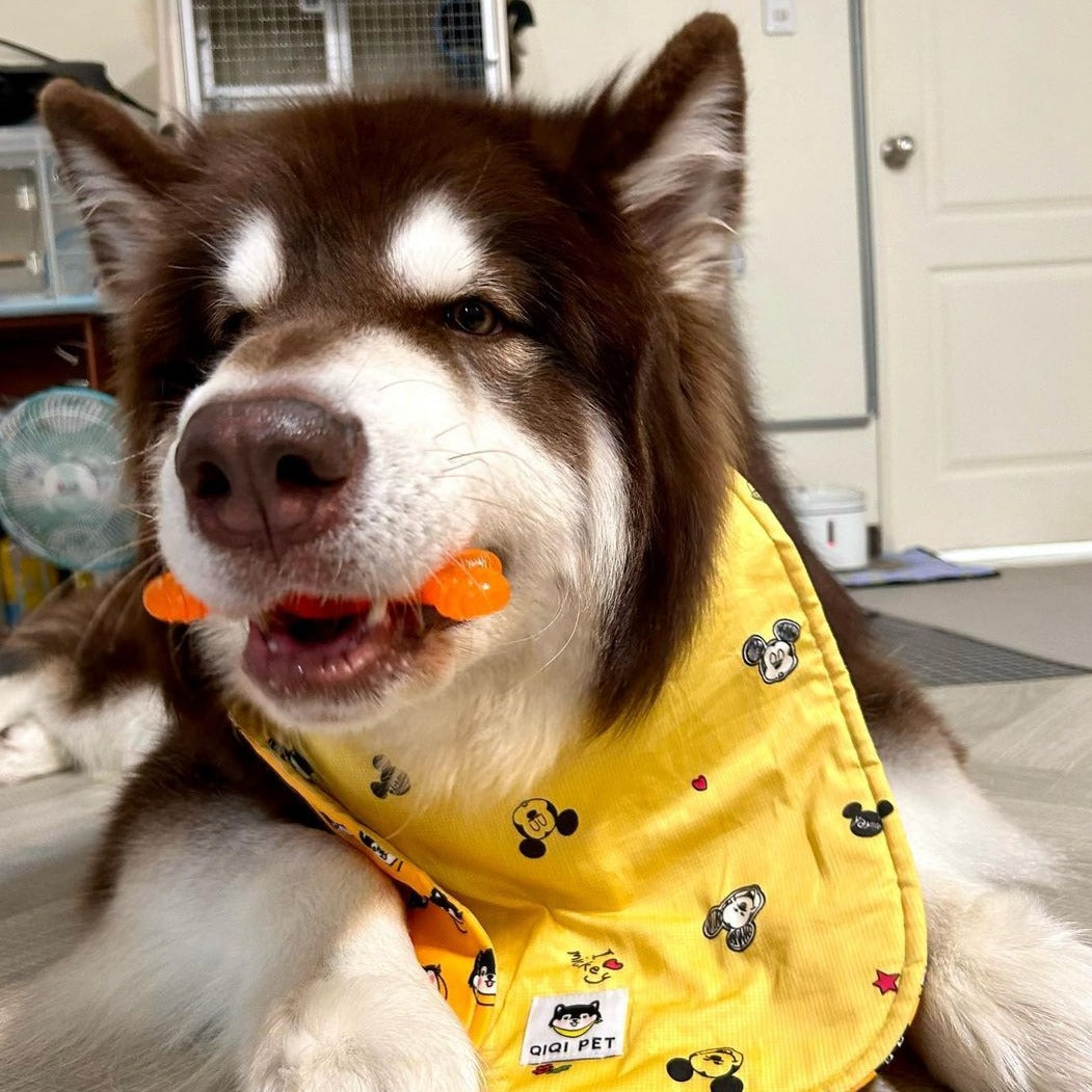 ROOP 狗狗磨牙玩具-水果軟膠系列(柔軟彈牙)