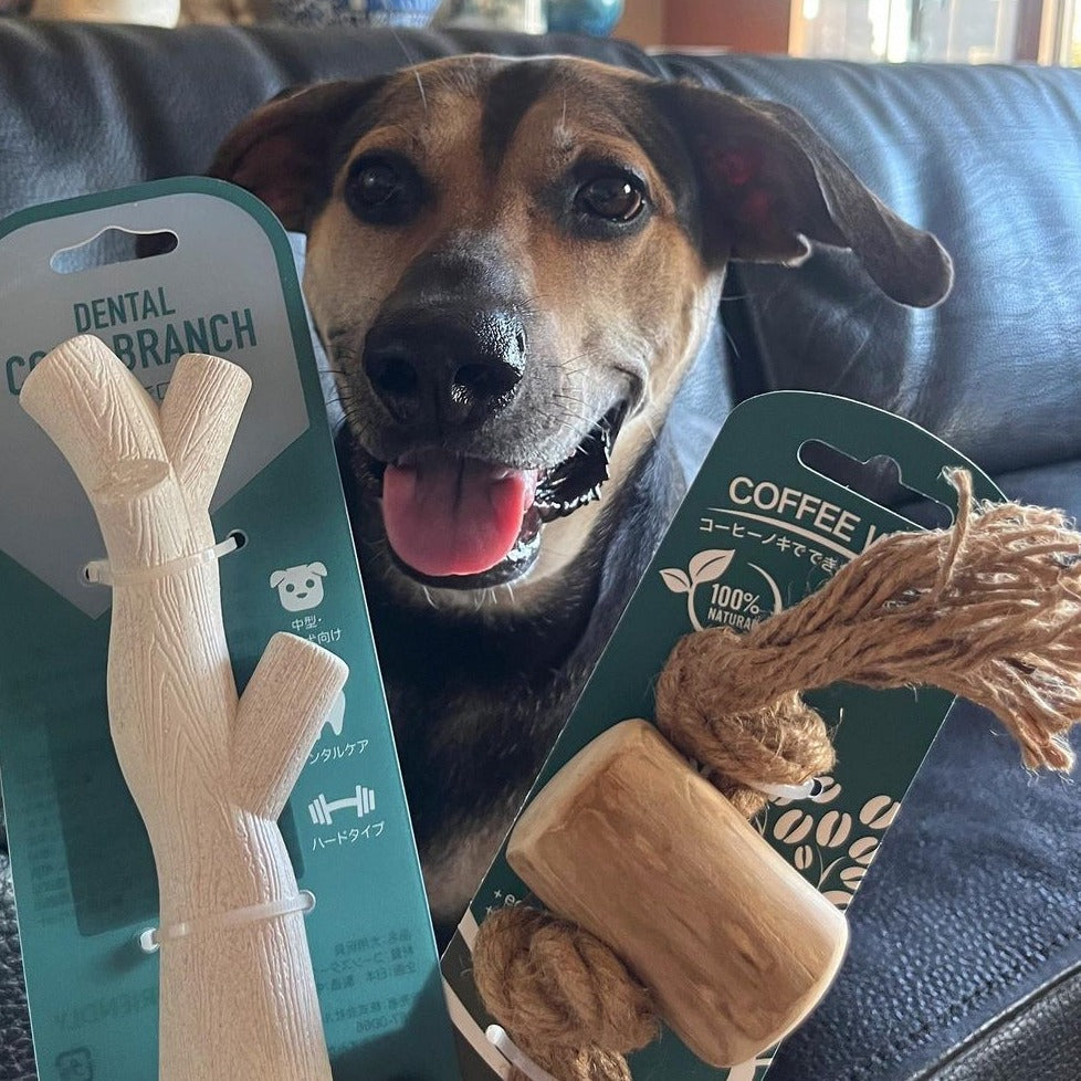 ROOP 狗狗啃咬玩具-天然咖啡木