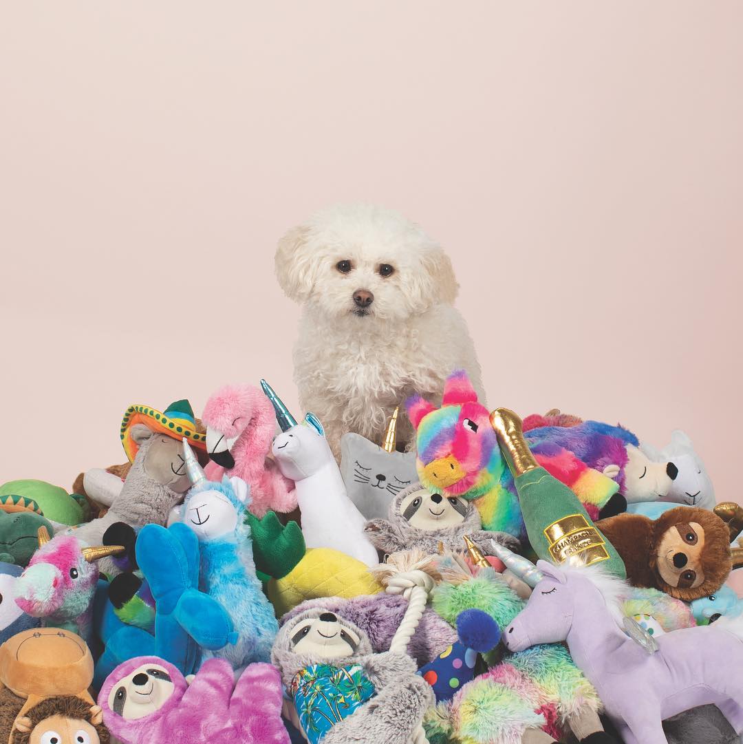 PetShop by Fringe Studio 狗狗發聲玩具-變裝羊駝系列