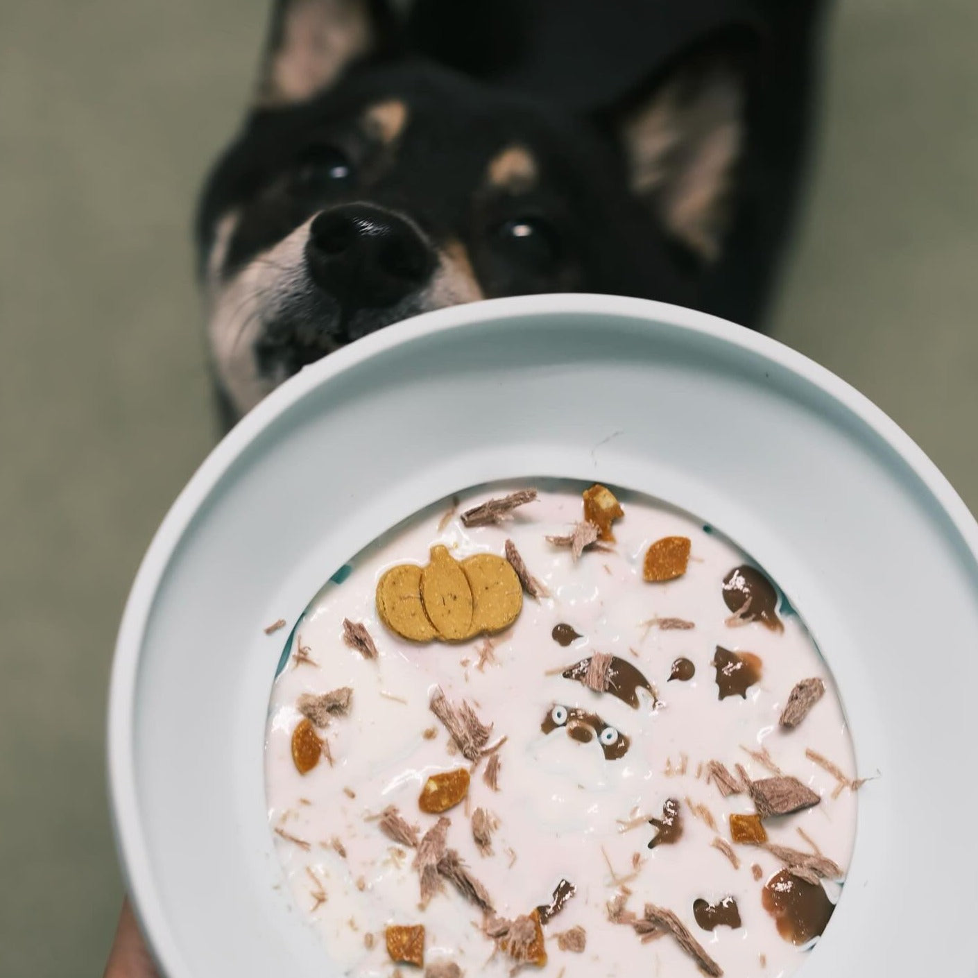 OMOM 慢舔食兩用碗-雪夜聖誕樹