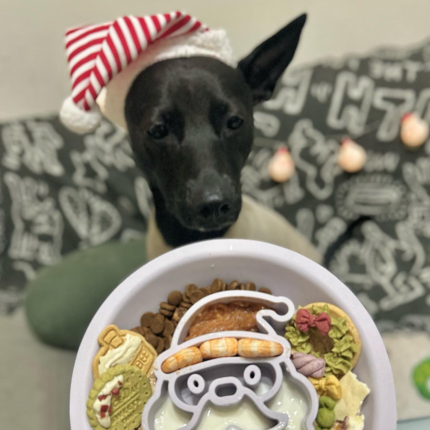 OMOM 慢舔食兩用碗-聖誕老公公