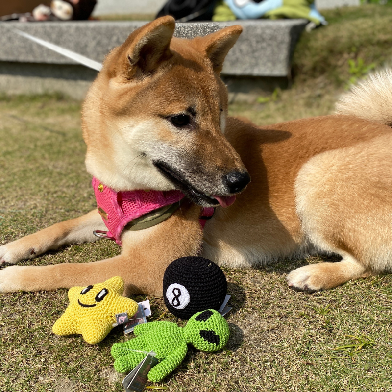 DOGO Pet Fashions 狗狗發聲玩具