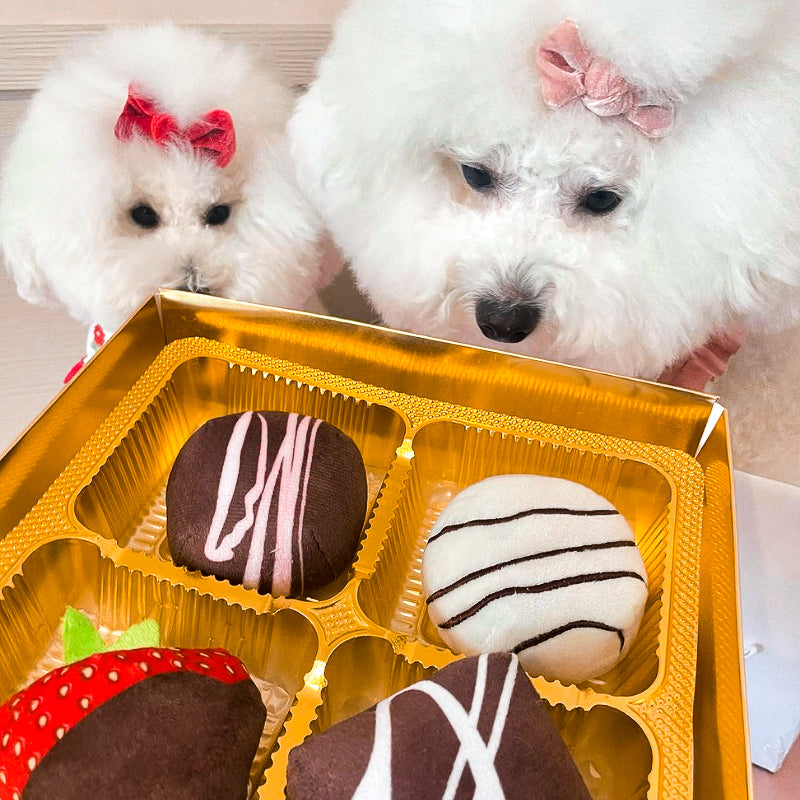 Fabdog 狗狗發聲玩具-DOGIVA巧克力