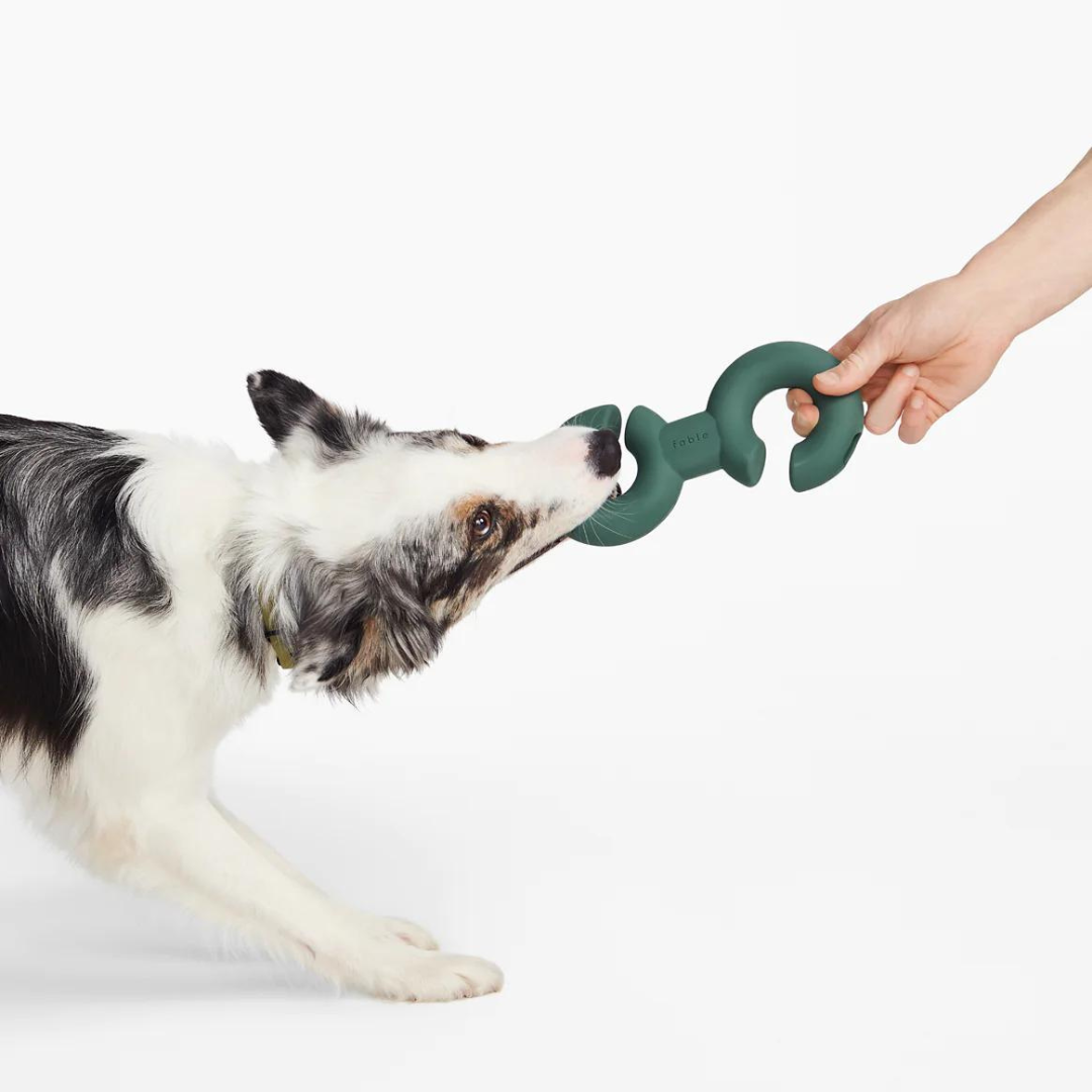 Fable 狗狗益智漏食玩具-雙勾型(Twin Falcon Toy)