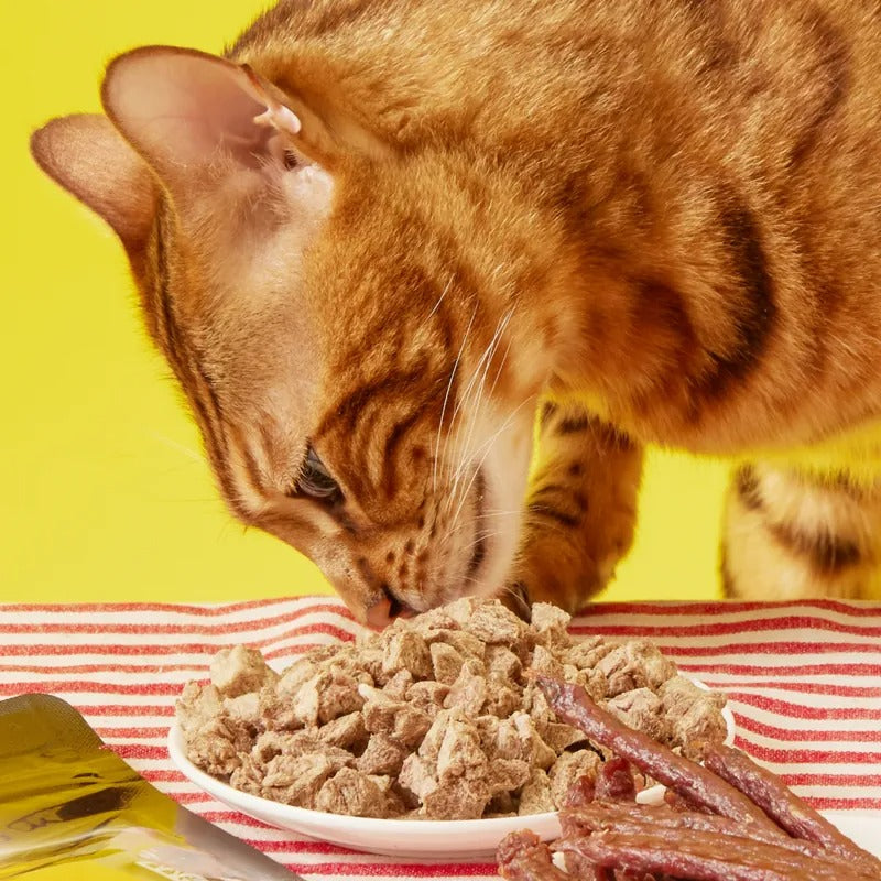 毛孩乾杯 老饕級牛舌零食-原肉凍乾