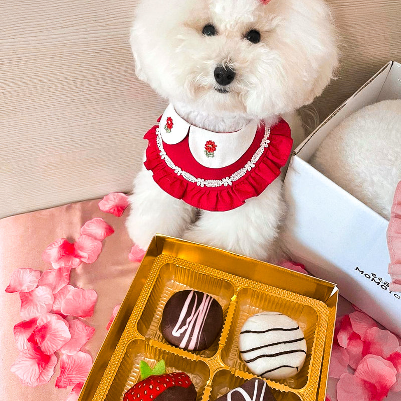 Fabdog 狗狗發聲玩具-DOGIVA巧克力