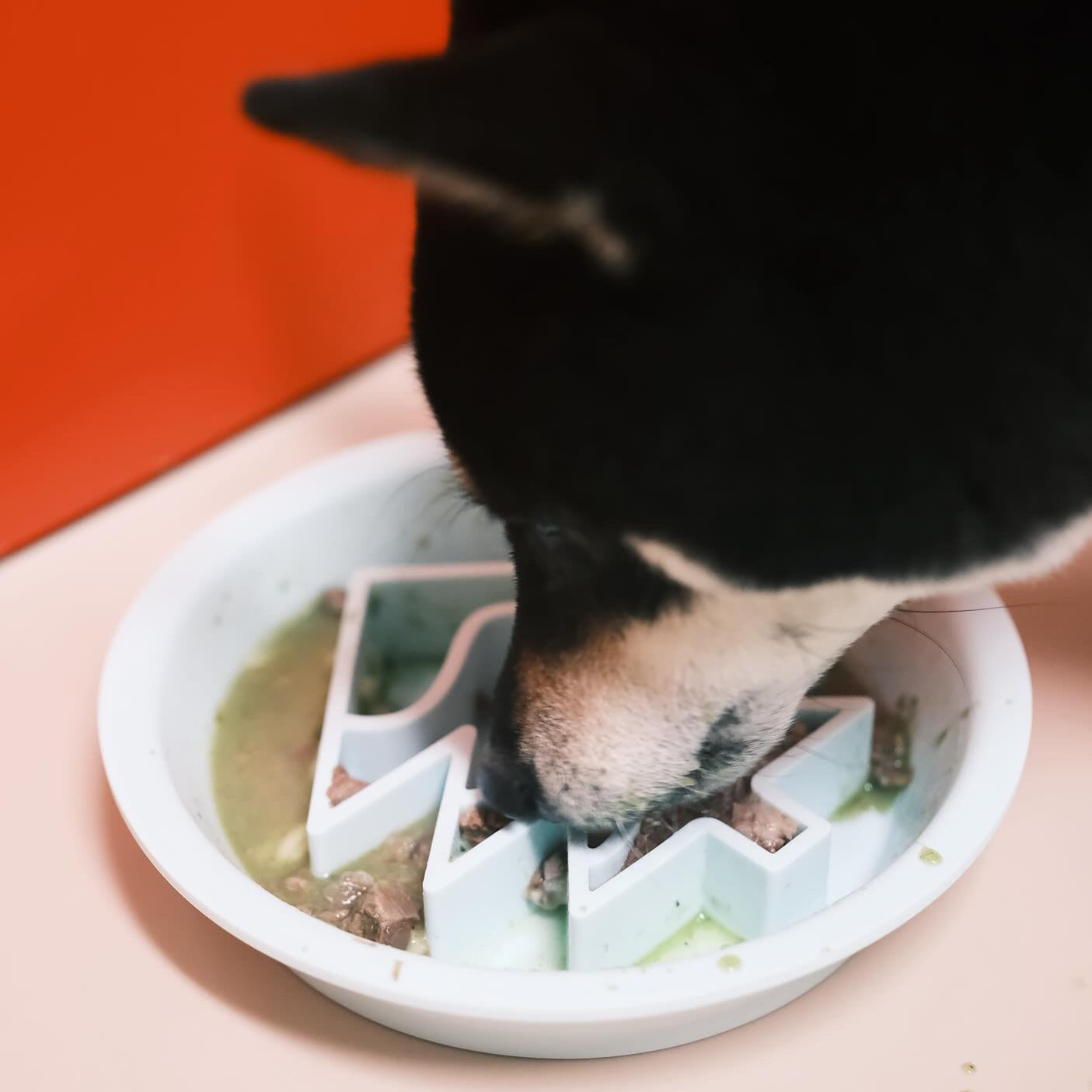 OMOM 慢舔食兩用碗-聖誕老公公