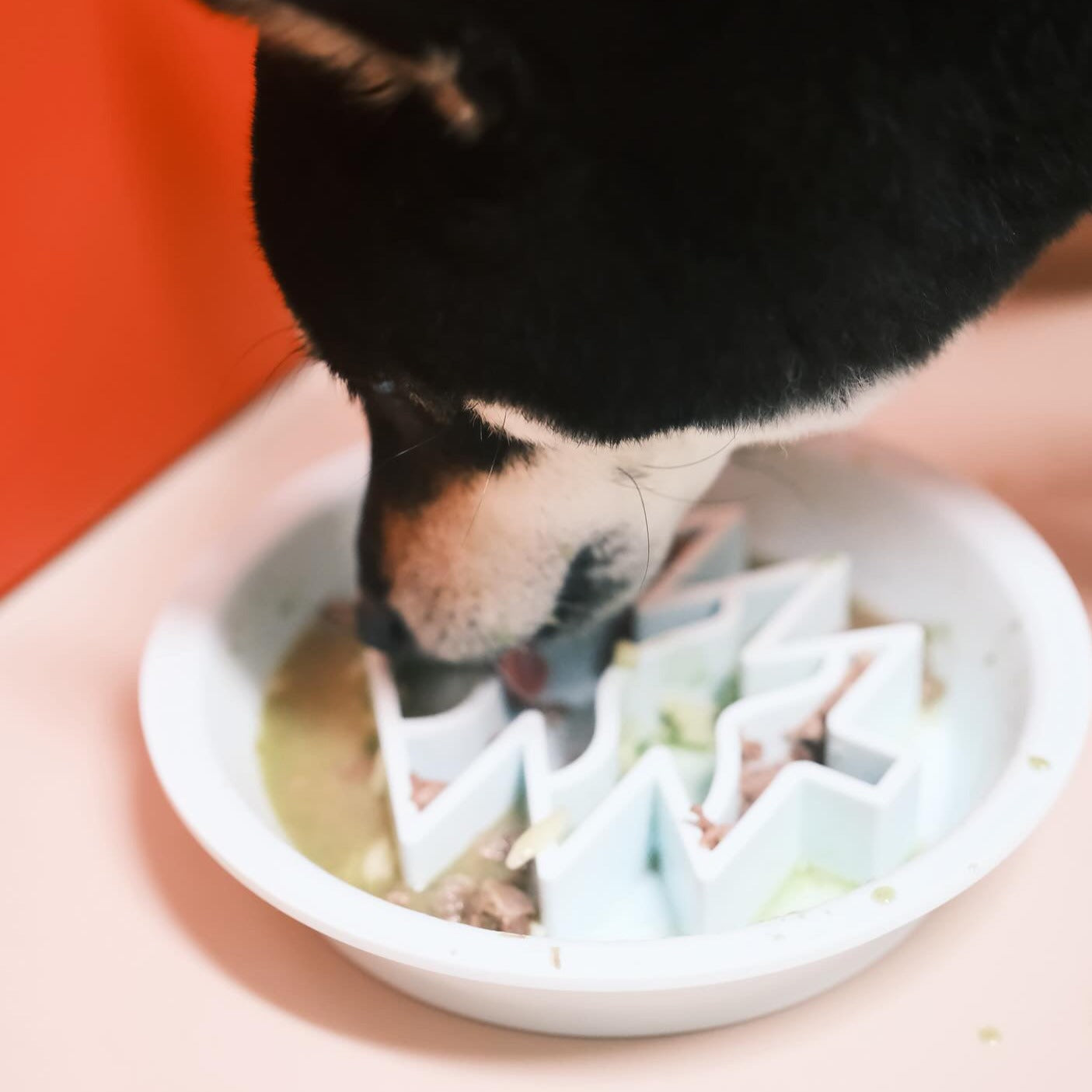 OMOM 慢舔食兩用碗-烘培薑餅人