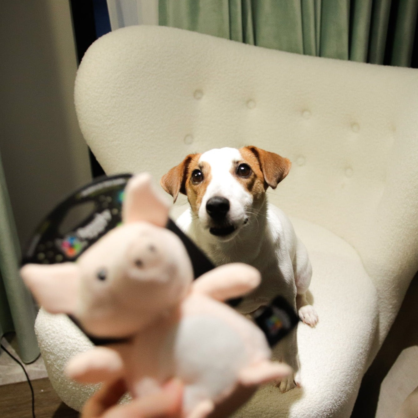 Spunky Pup 狗狗發聲玩具-夜光系列