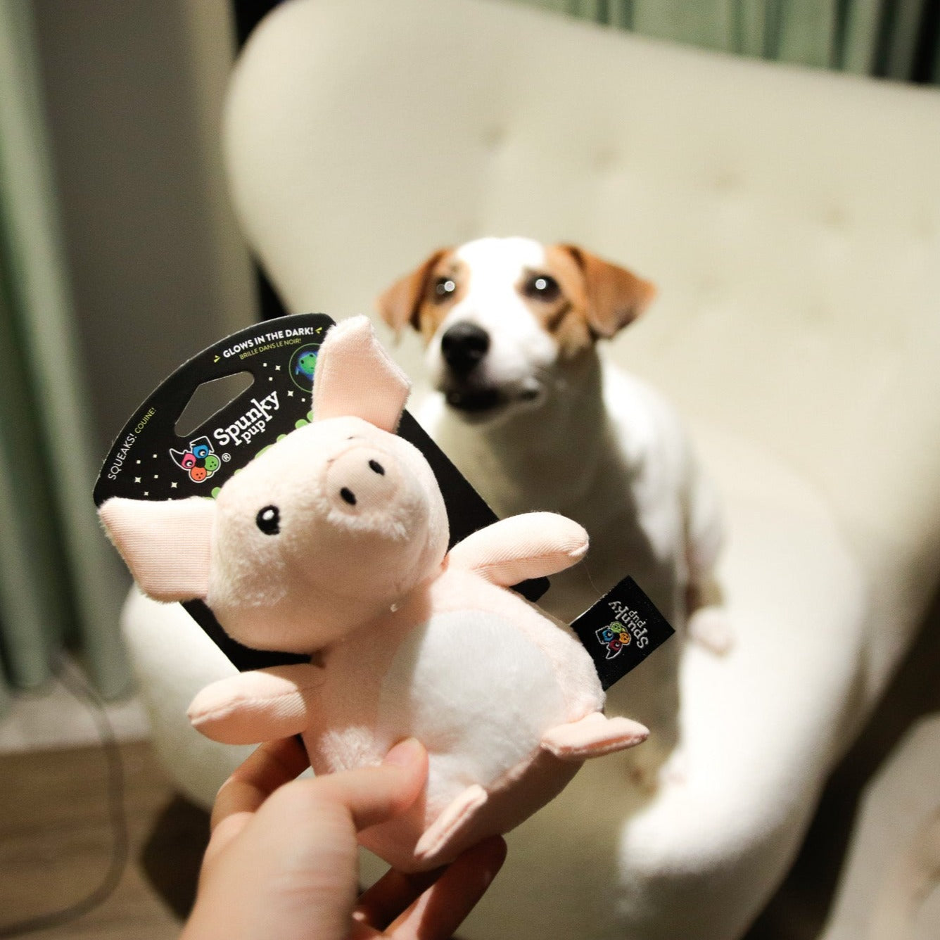 Spunky Pup 狗狗發聲玩具-夜光系列