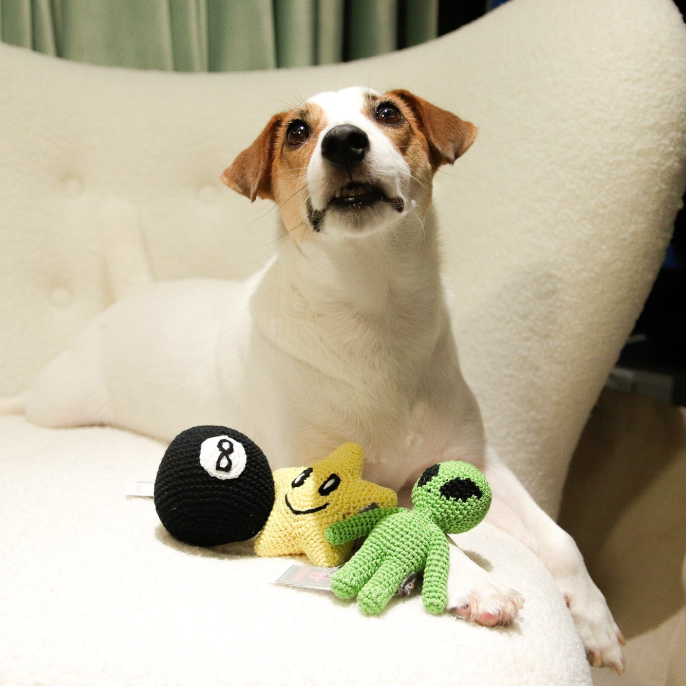 Dogo Pet Fashions Pawer Cute Star Dog Toys