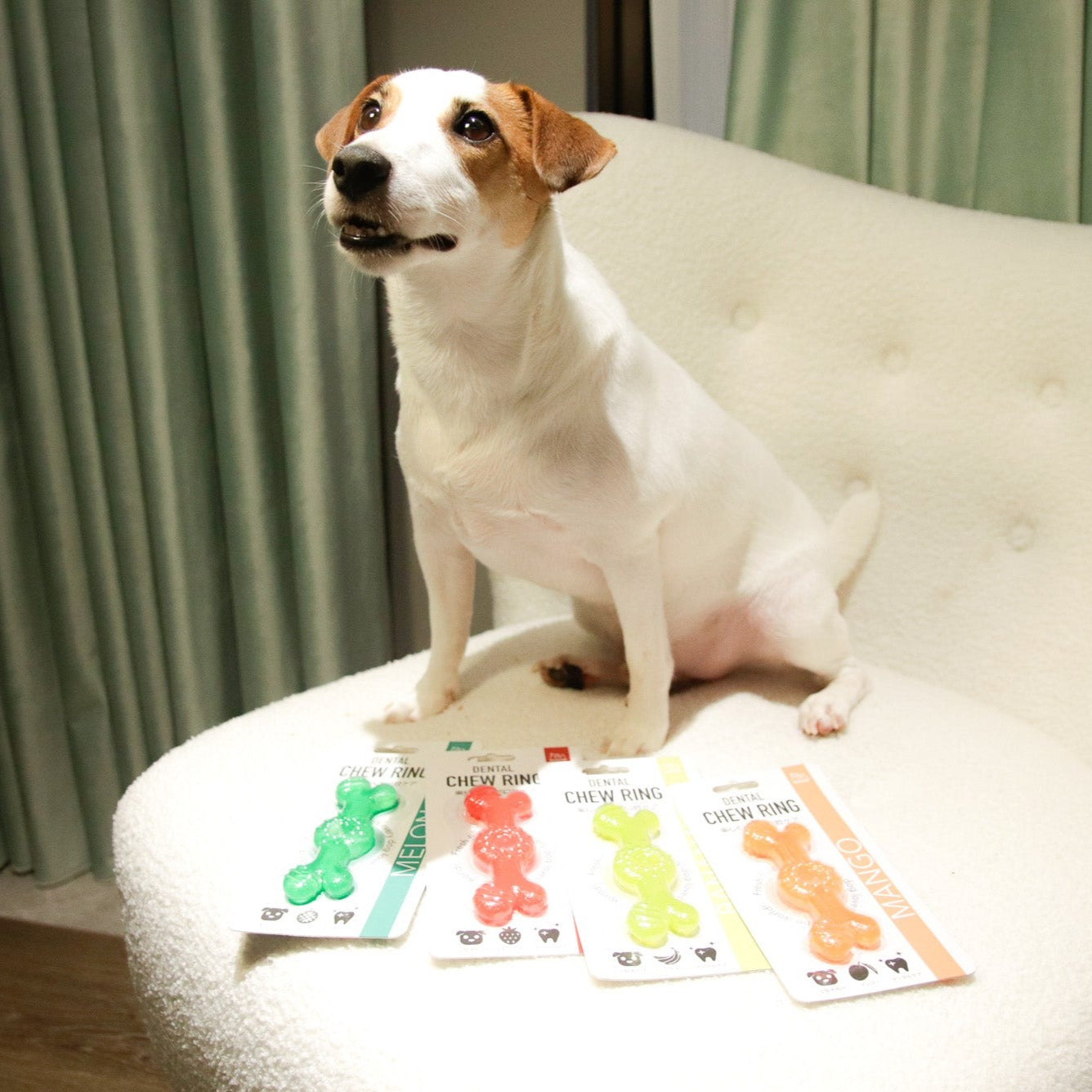 ROOP 狗狗磨牙玩具-水果軟膠系列(柔軟彈牙)