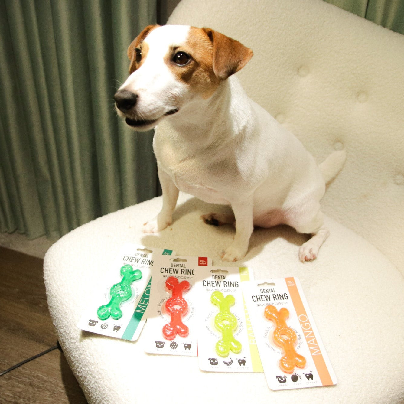 ROOP 狗狗磨牙玩具-水果軟膠系列(柔軟彈牙)