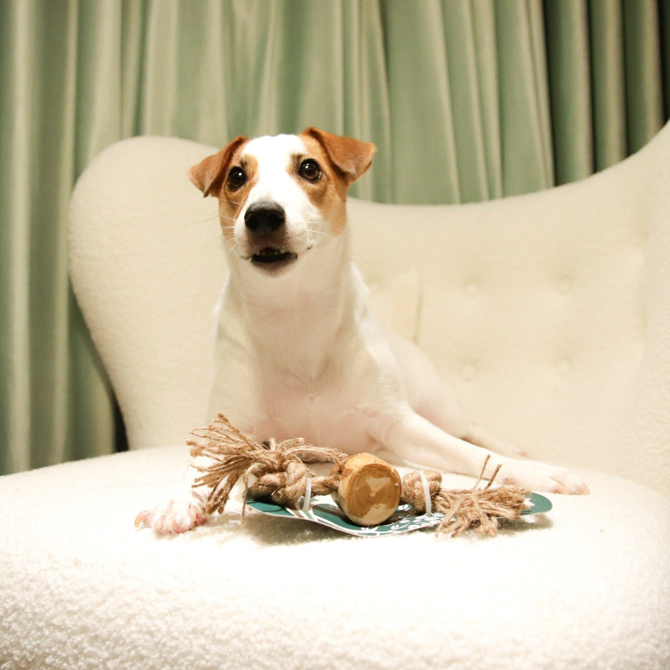 ROOP 狗狗啃咬玩具-天然咖啡木