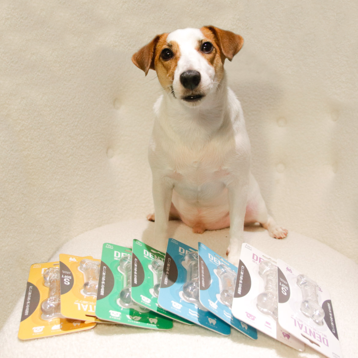 ROOP 狗狗磨牙玩具-風味軟膠系列(柔軟彈牙)