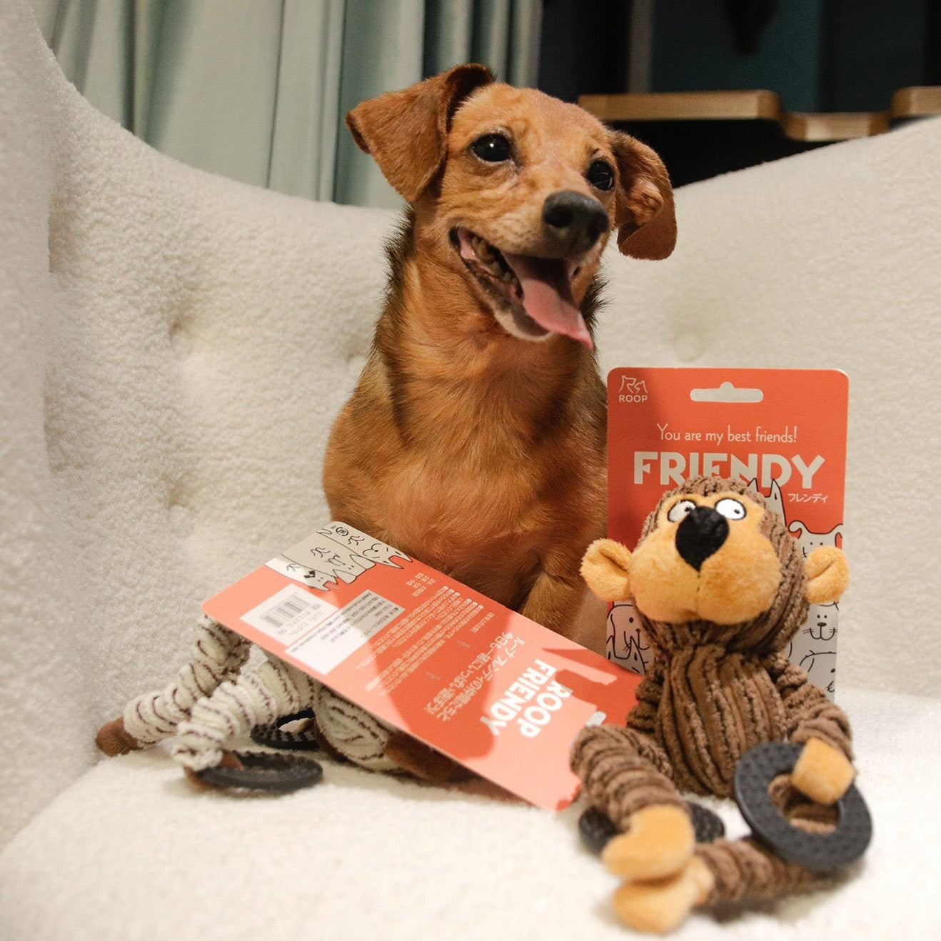 ROOP 狗狗耐咬發聲玩具