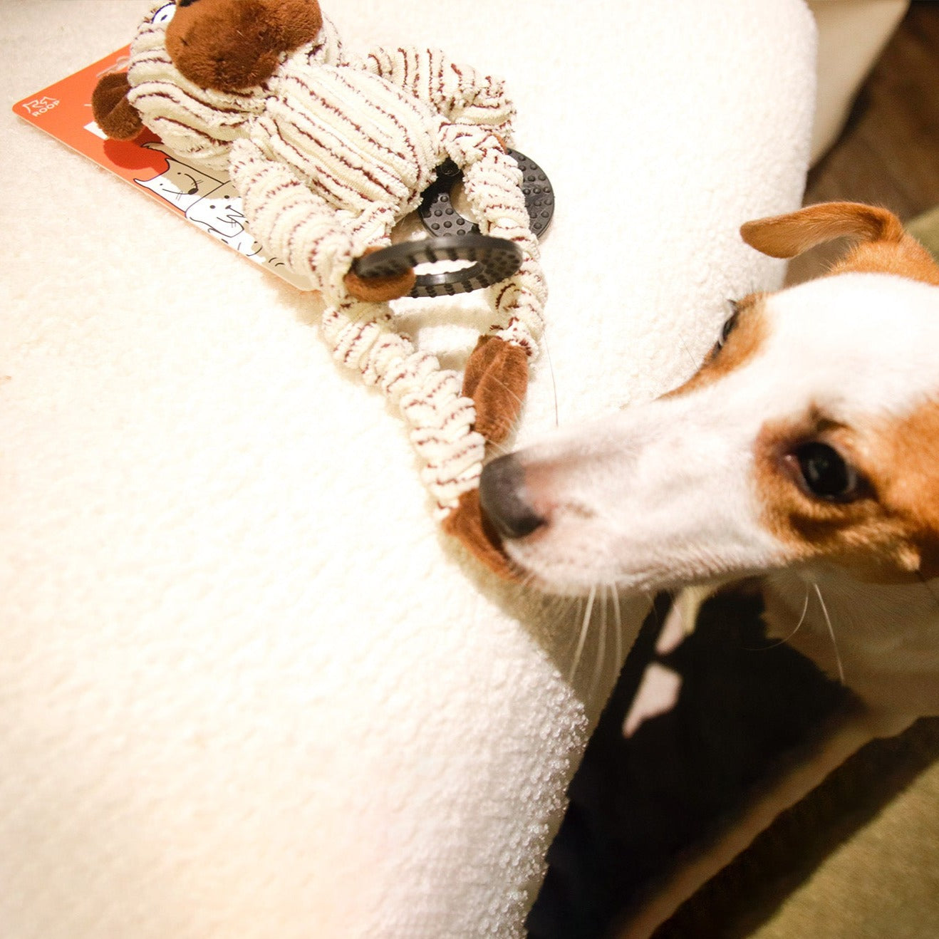 ROOP 狗狗耐咬發聲玩具